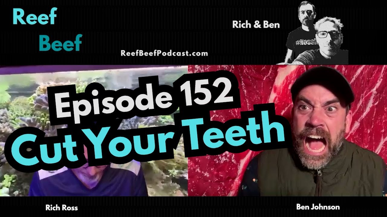 Cut Your Teeth - Episode 152 - Reef Beef Podcast