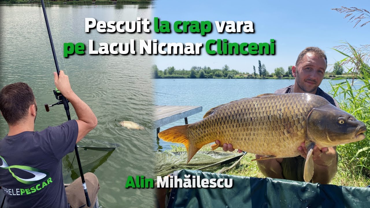 Pescuit la crap vara pe Lacul Nicmar Clinceni - Alin Mihailescu | MarelePescar