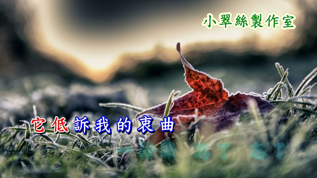 不了情 - 卡拉OK純音樂