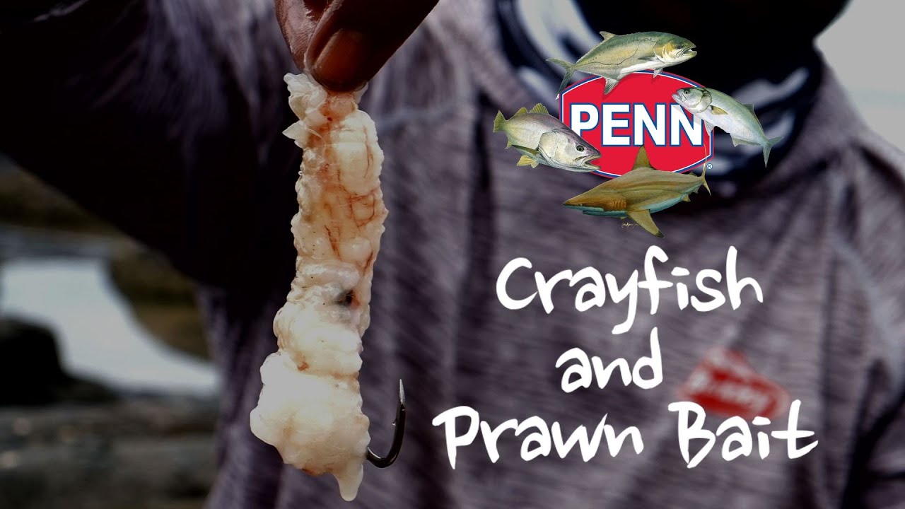 Prawn and crayfish bait for Pompano