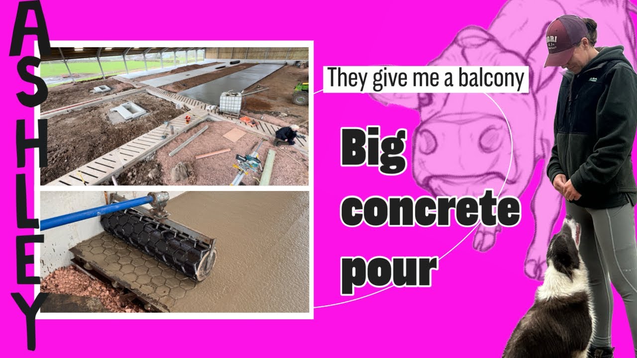 Big concrete pour in the dairy shed! The office is going in WOW balcony