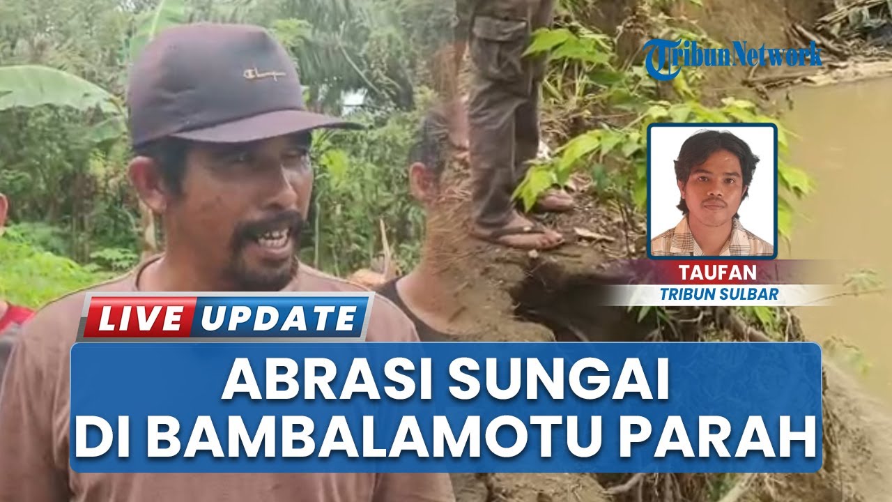 Abrasi Sungai Pasangkayu Makin Parah, Bahayakan Keselamatan Petani hingga Kebun Tergerus Habis