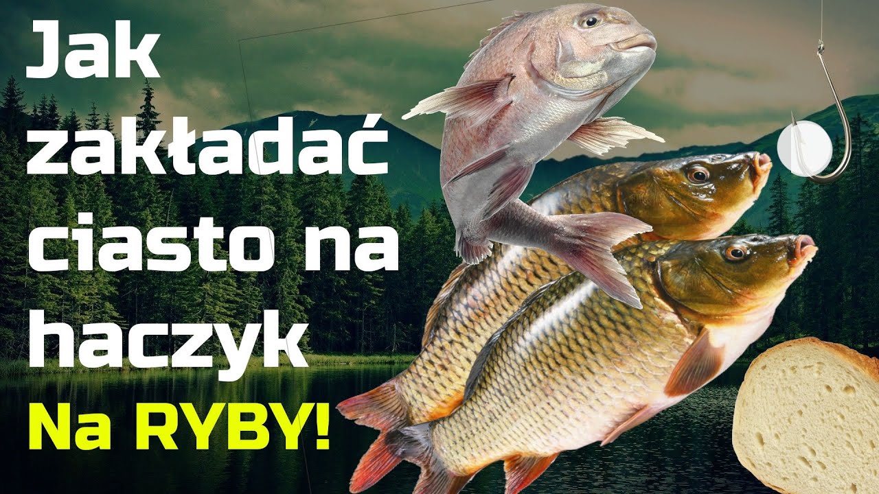 Jak zakładać ciasto wędkarskie na haczyk – Łowienie ryb