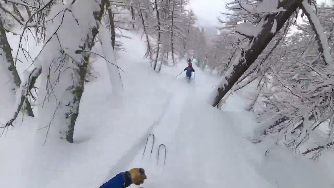 Huge fun in the forest! | Monte Estelletta | Skitour Valle Maira