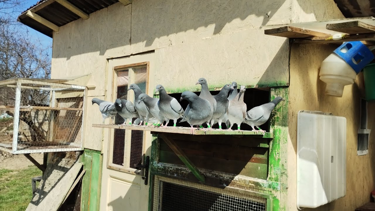 19.03.2023 Noul sezon se aproprie cu pași repezi!
