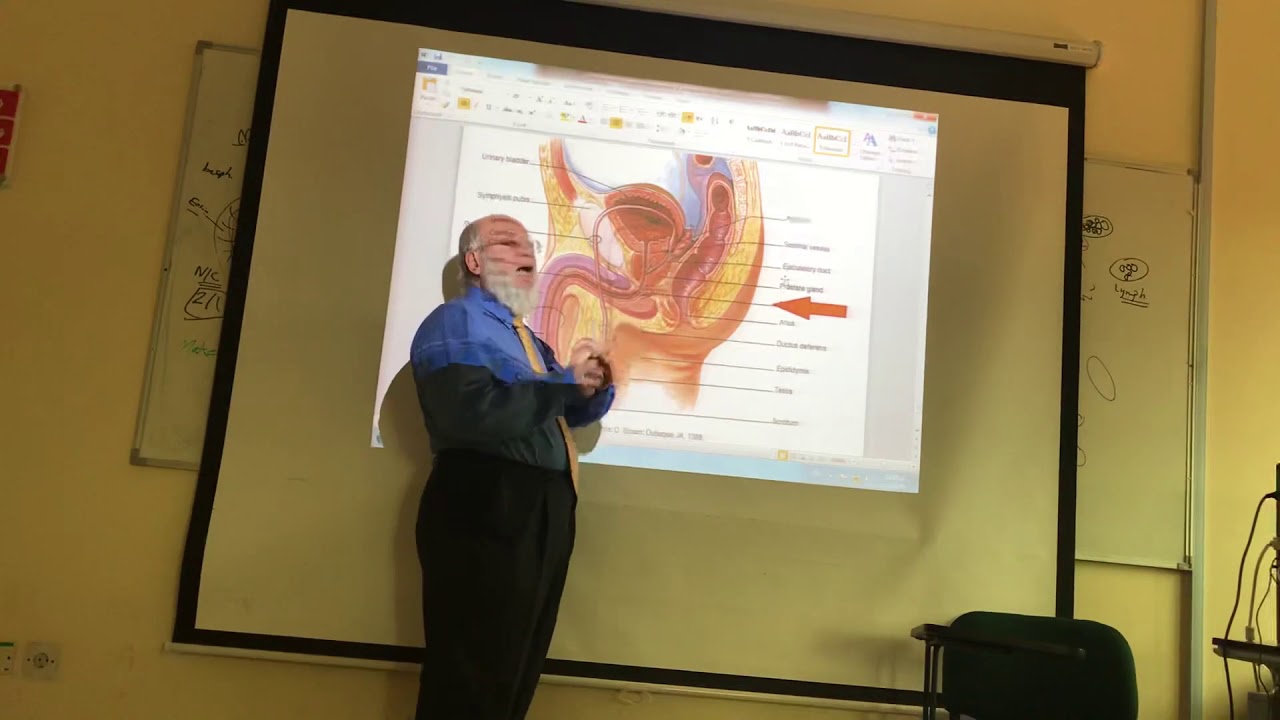 General embryology 3 ( Semen  ) , by dr. wahdan