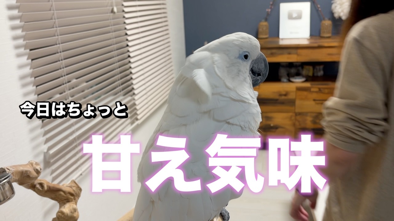 物足りなかった夜も最後は満足