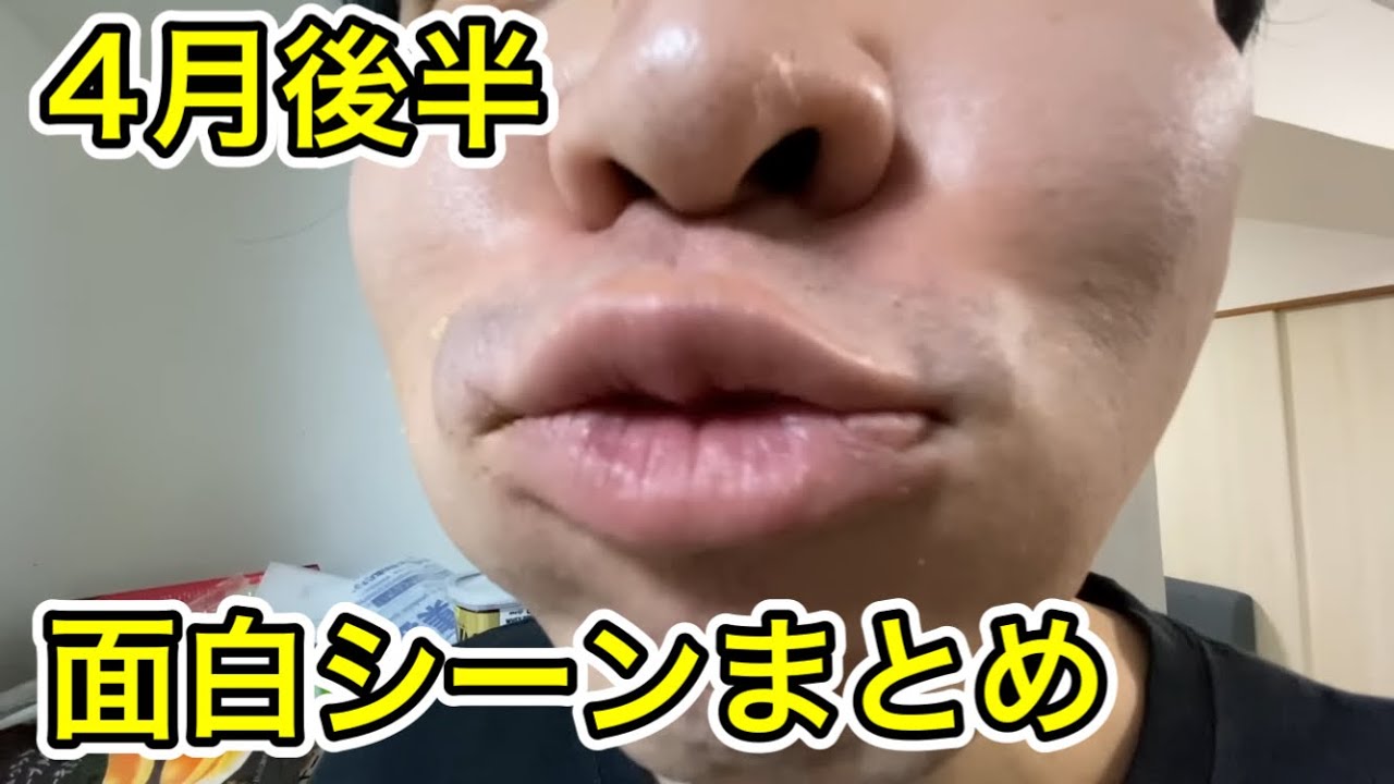 【4月後半】カシコch面白シーンまとめ