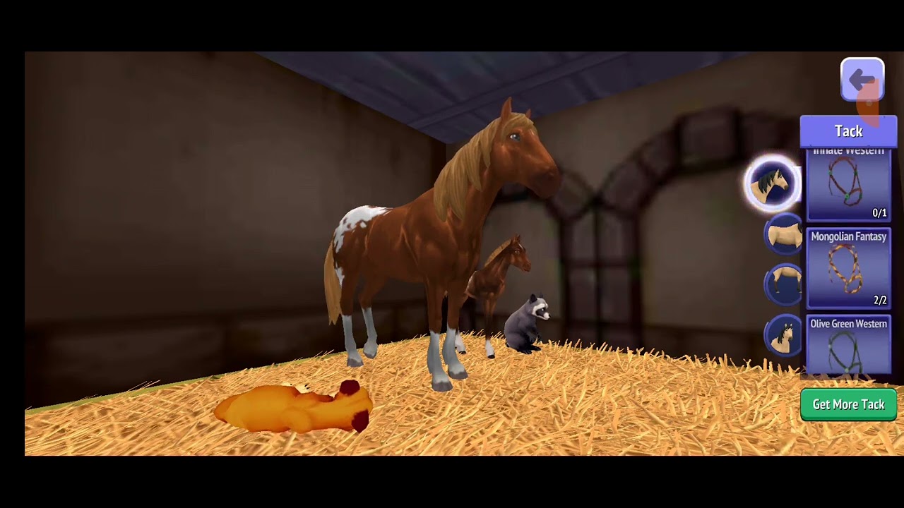 Claiming my foal!💖💖✨️✨️