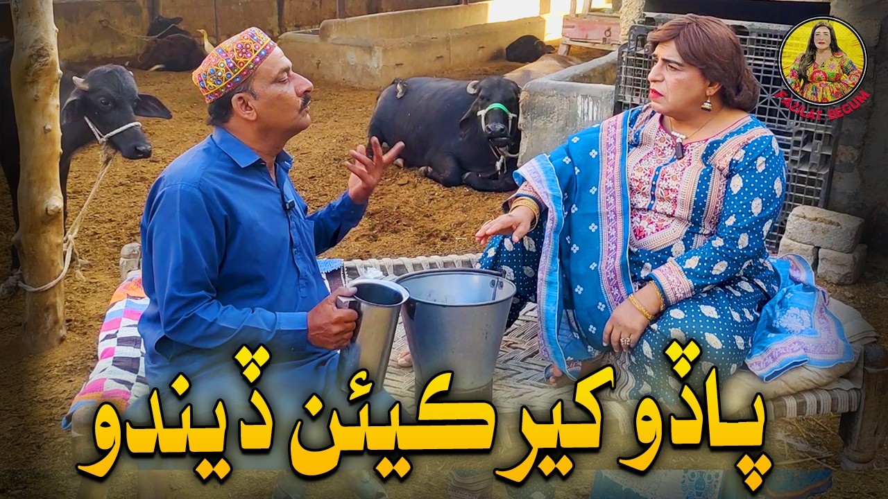Fazilat Begum Sindhi Funny Video | Paado Kheer Kian Dendo ?
