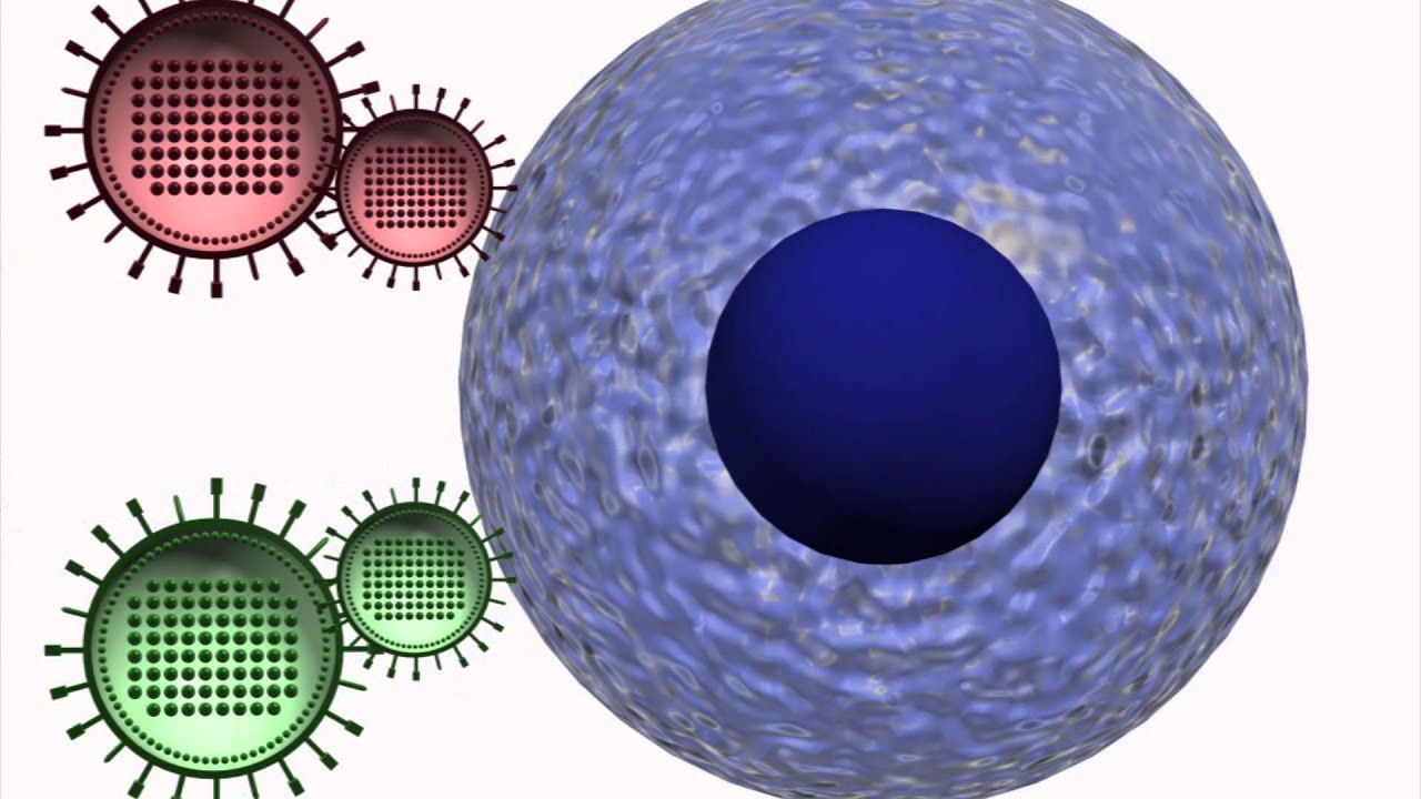 Scientists say the H7N9 bird flu is mutating to infect humans