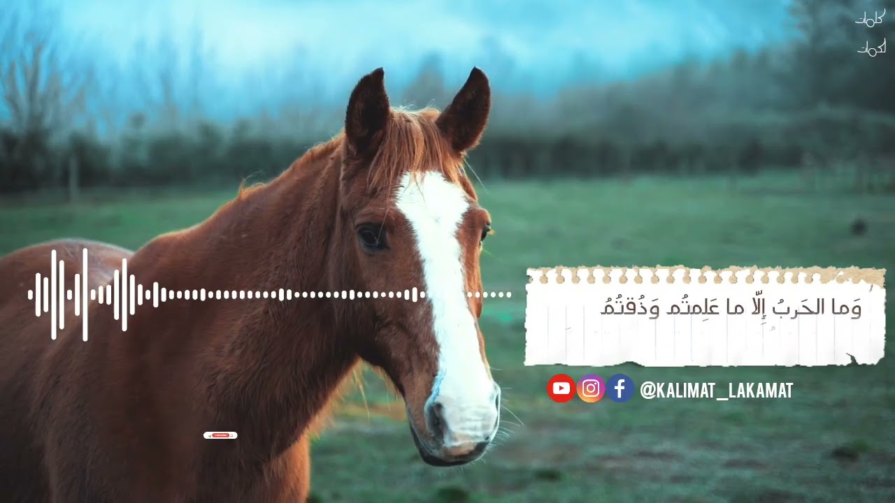 أمن أم أوفى دمنة لم تكلم - زهير بن أبي سلمى ( المعلقة) | نواف