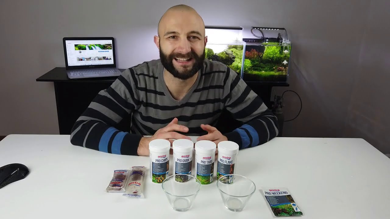 Alimentazione dei pesci: Pellet, fiocchi, tabs, cips, cibo vivo e surgelato. Guida ai principianti