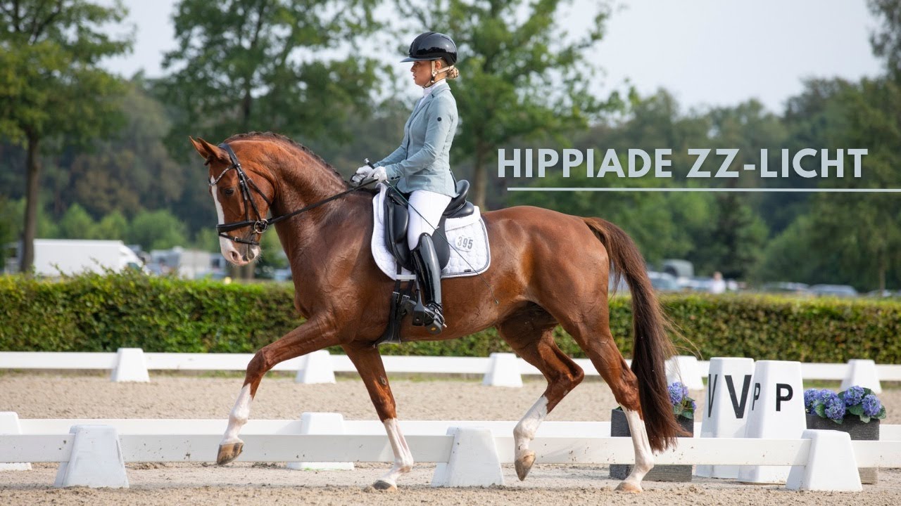 Hippiade 2024! 🧡 | ZZ-licht | proef 49