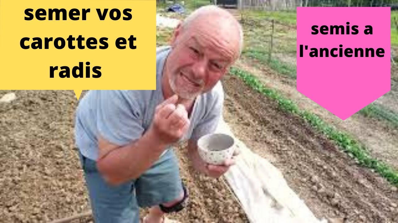Comment semer les carottes à la méthode couscous et radis ?