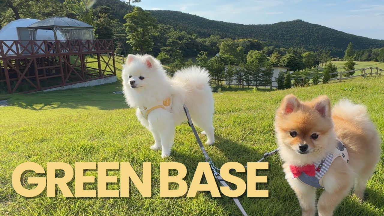 愛犬と一緒にグランピング GREEN BASE Glamping with Dogs