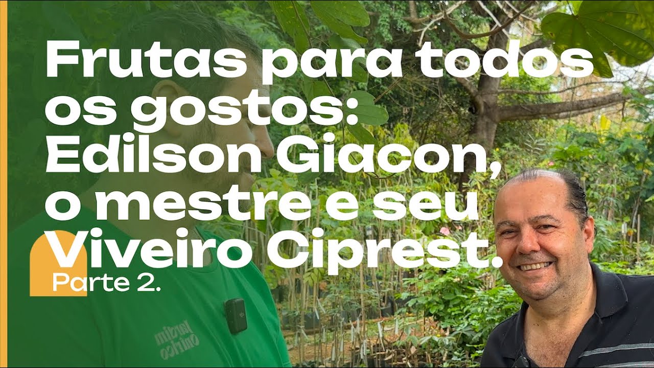FRUTAS para todos os gostos: Edson Giacon e o viveiro Ciprest. Parte 2.