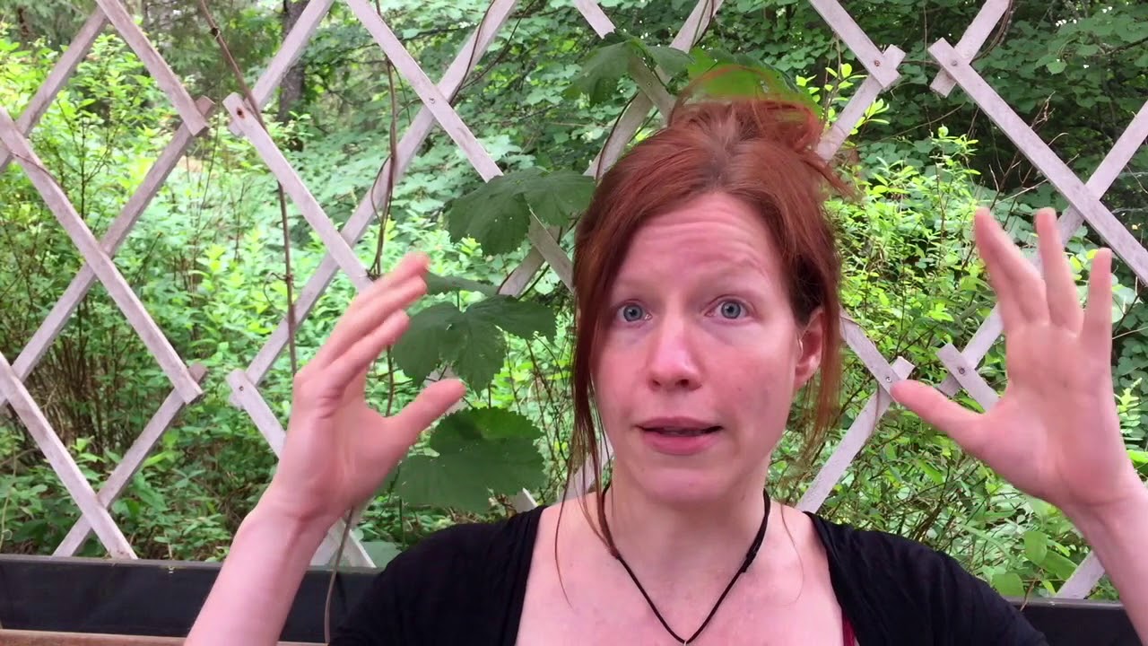 Natural High Healing Festival ja varjot - 3 selviytymisvinkkiä herkille ihmisille