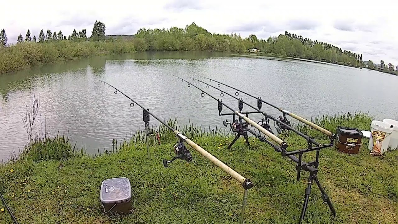 Carp run compilation Jrc dsi, Delkim, Nash siren R3 MEUS power