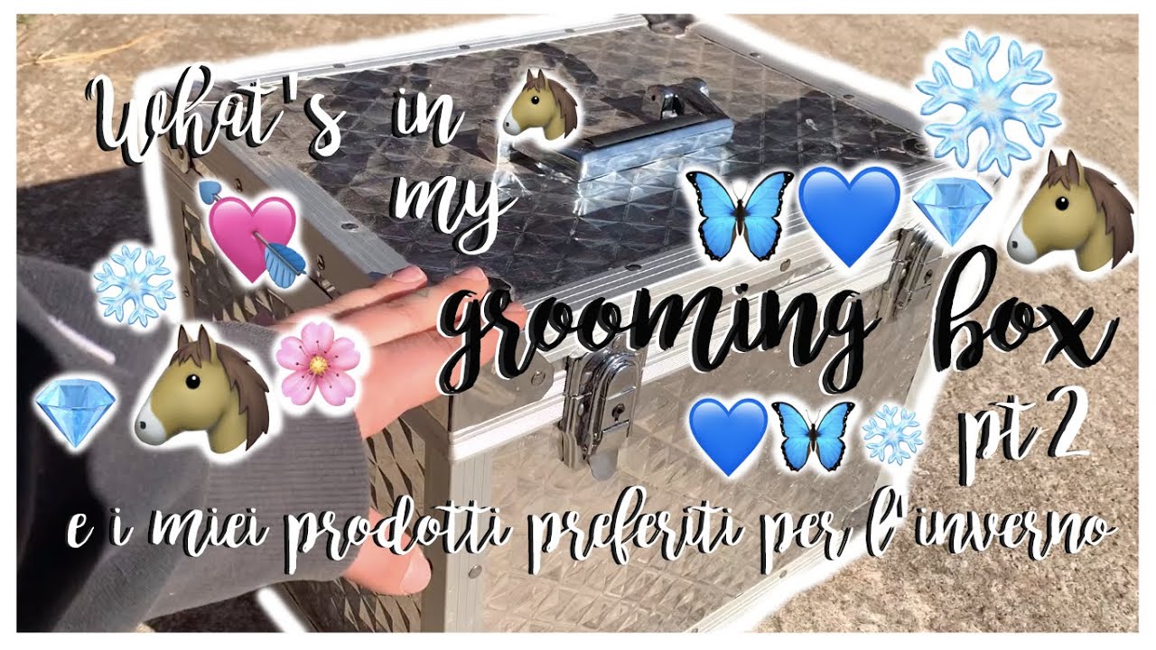 WHAT'S IN MY GROOMING BOX- tutti i miei prodotti e i preferiti dell'INVERNO 💘🐴🦋