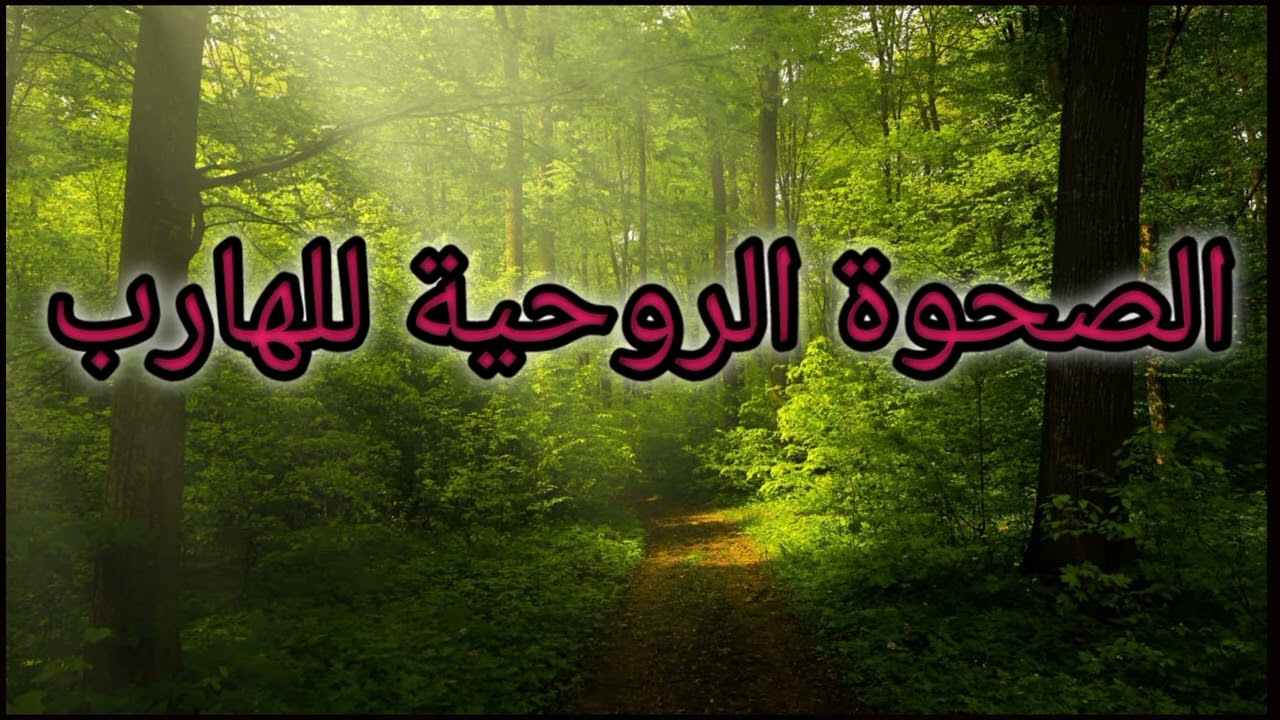 توأم الشعلة 🔥 الصحوة الروحية الهارب وتأثيرها في الفترة الحالية ✨