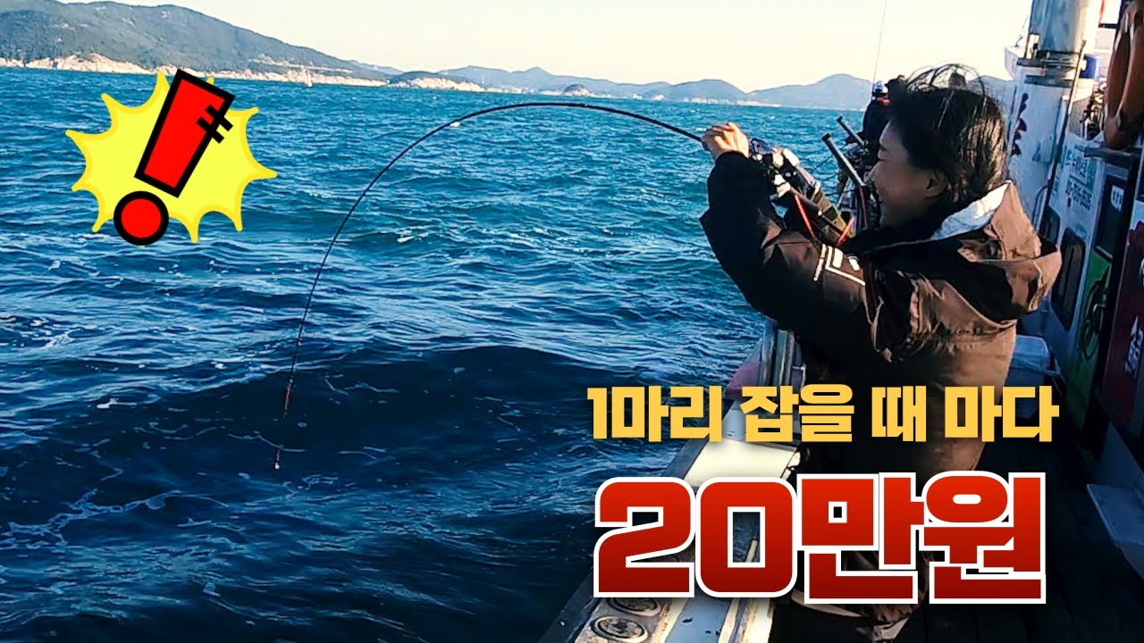 낚시인을 위한 곳을 드디어 찾아냈습니다!!! 올 겨울은 이곳이 초대박 필드!!