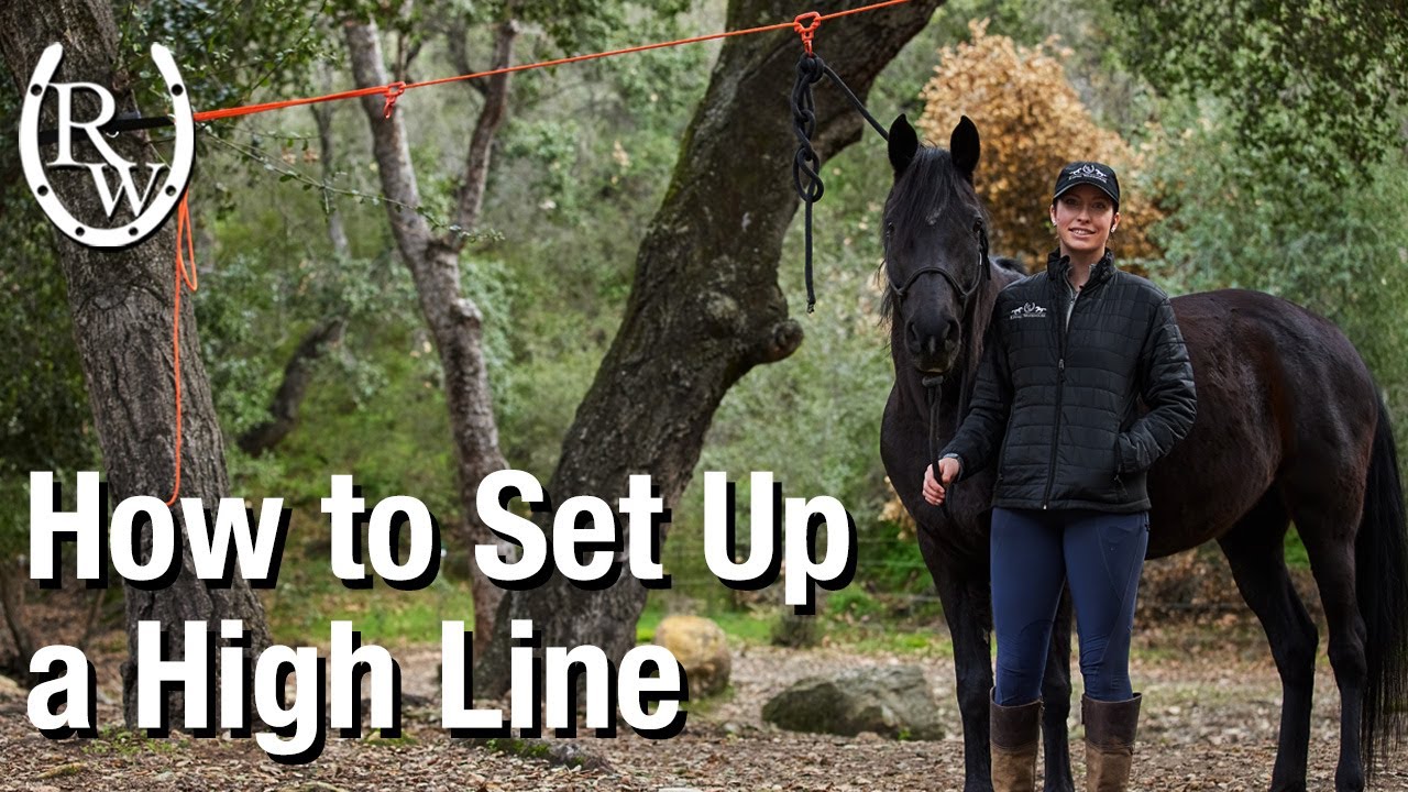 How to Set Up a High Line System with Gillian Larson