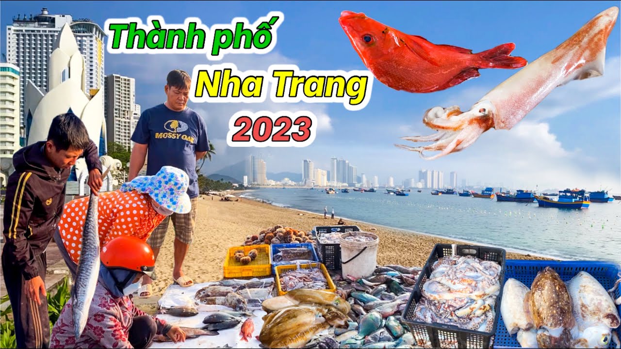 Nha Trang Vào Mùa Biển Đẹp | Chợ Xóm Mới Ngập Tràn Hải Sản Tươi Ngon