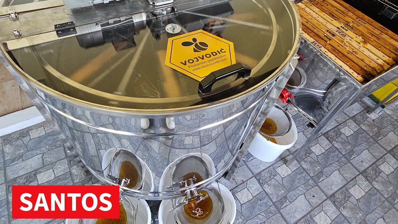 NAJVIŠE MEDA PČELARI ĆE IMATI OD SUNCOKRETOVE PAŠE