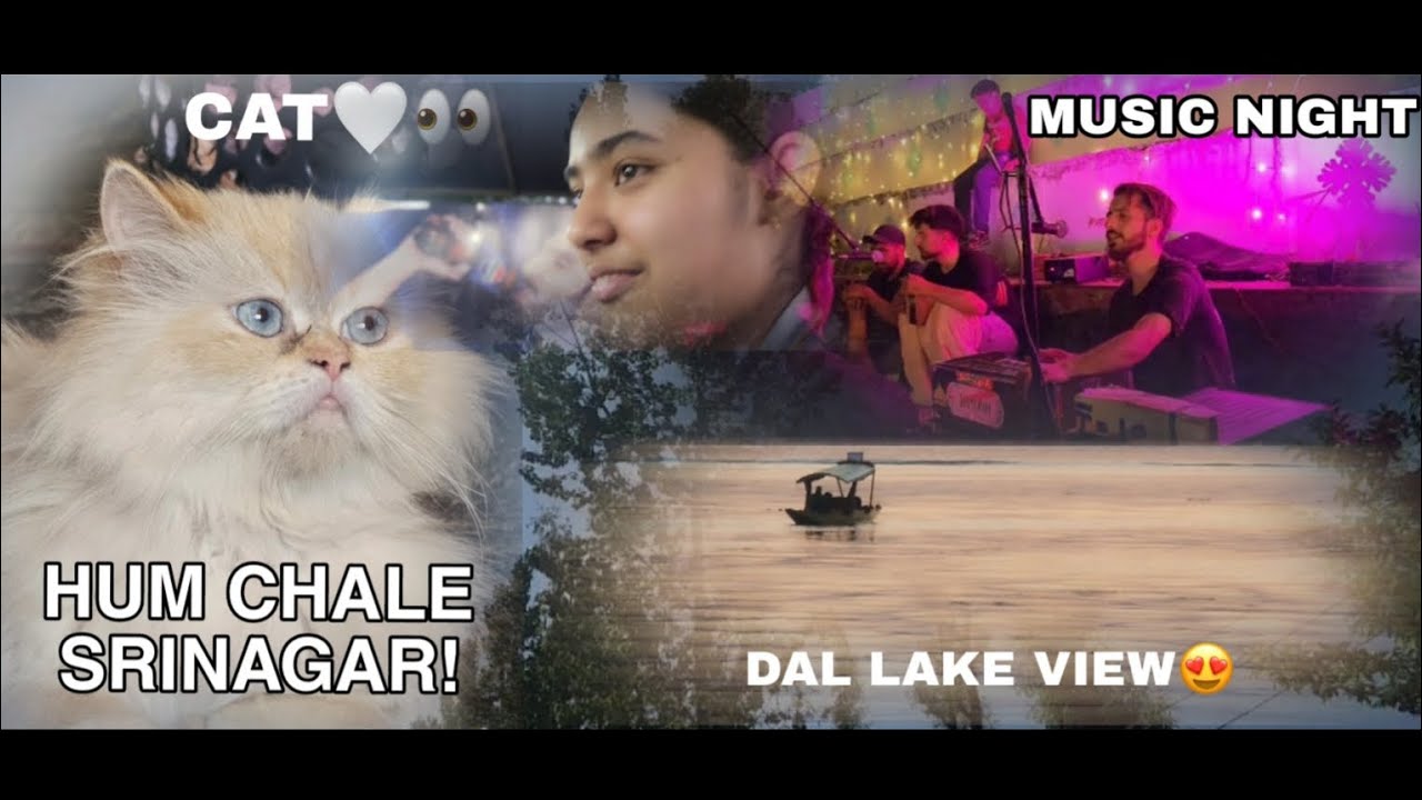 HUM CHALE SRINAGAR 😍 | @MrBeast k chocolates❤️👊🏻| Persian Cat🤍🌚 | @iambhataisha #AishSquad
