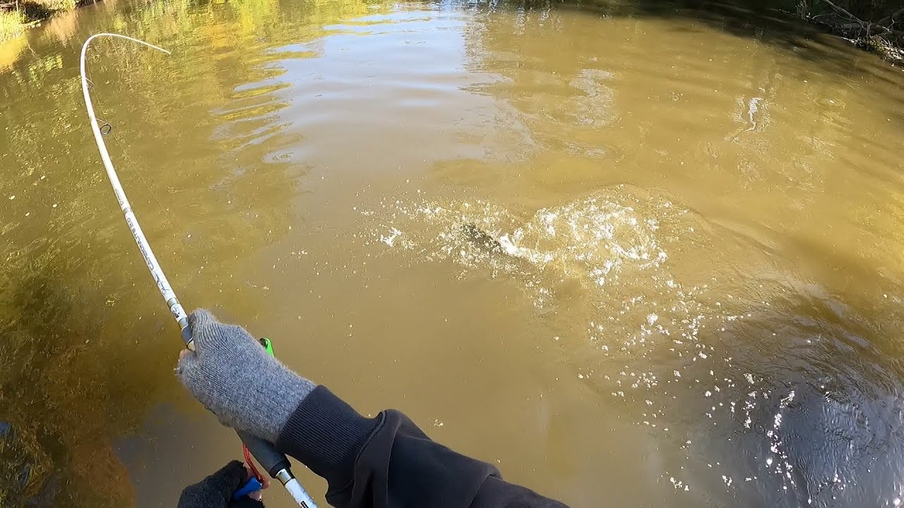 Ловля малоротого окуня на реке Фолл-Ривер!