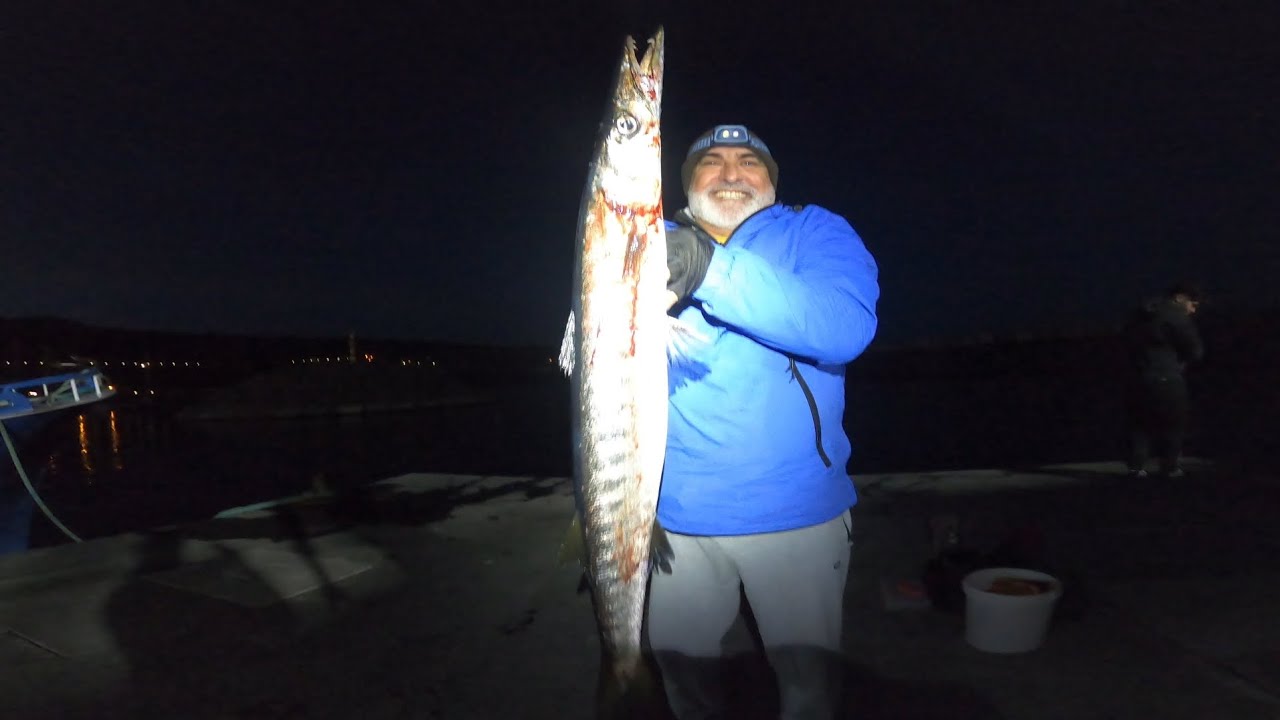 Pesca de Bicudas à isca viva e na amostra | Barracuda Fishing (4K UHD)