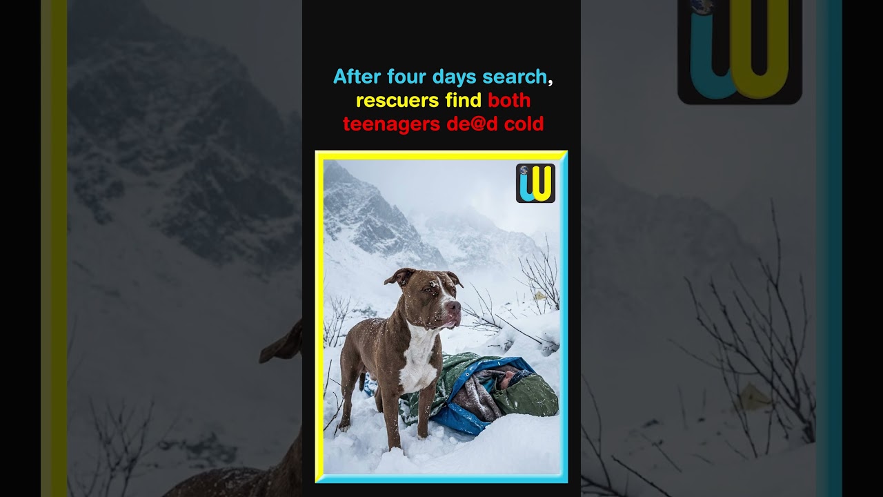 Loyal Pitbull Stayed With Dead Owner in Snowstorm😢❄️