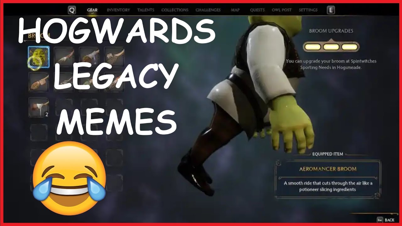 HOGWARTS LEGACY BEST MEMES