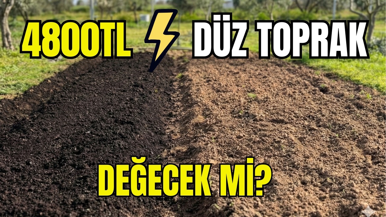 Çilek Adasında Büyük Deney: 4800 TL Fark Neyi Değiştirir? (Yükseltilmiş Yatak Kurulumu)