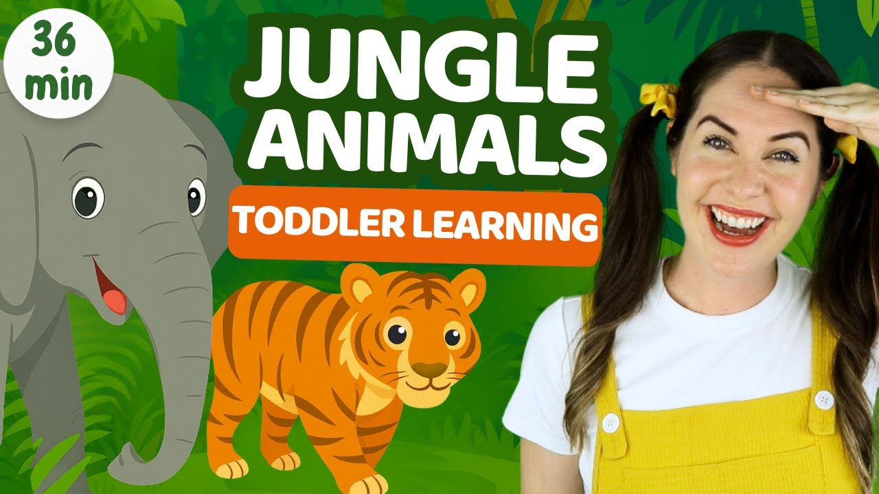 Jungle Hide & Seek | Toddler learning + musical play | Learn opposites, emotions, counting, animals