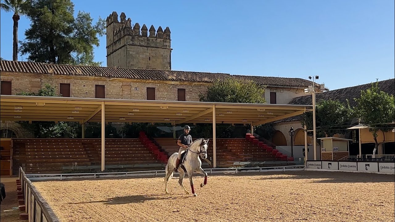 Royal Andalusians of Córdoba!!!