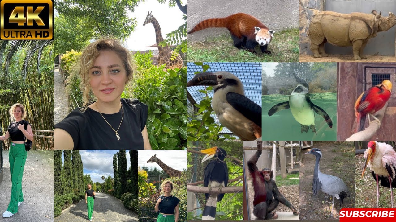 🇹🇷 Turkey Best Zoo in Istanbul Faruk Yalçın hayvanat bahçesi 4K