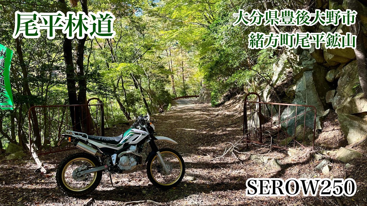 尾平林道　大分県豊後大野市緒方町尾平鉱山　YAMAHA　SEROW250　セロー250　2025年11月