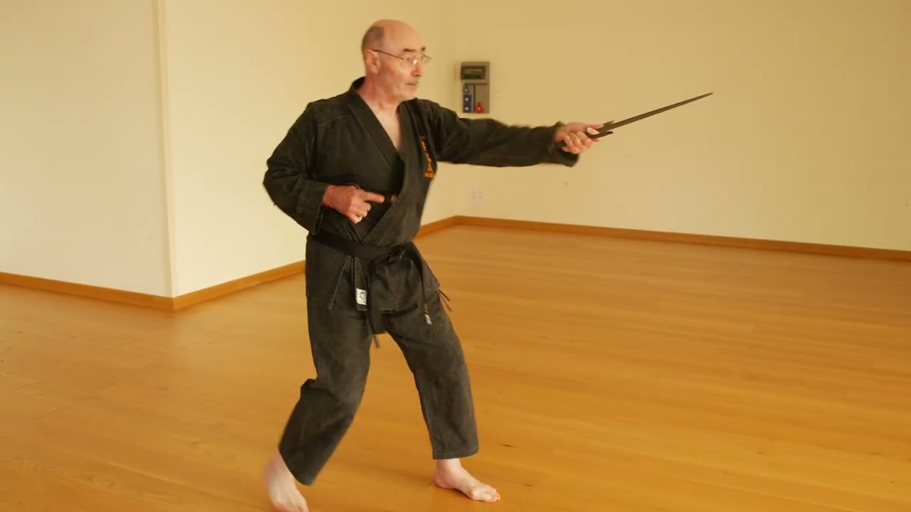 Sai Kihon Ichi - Guy Ardit