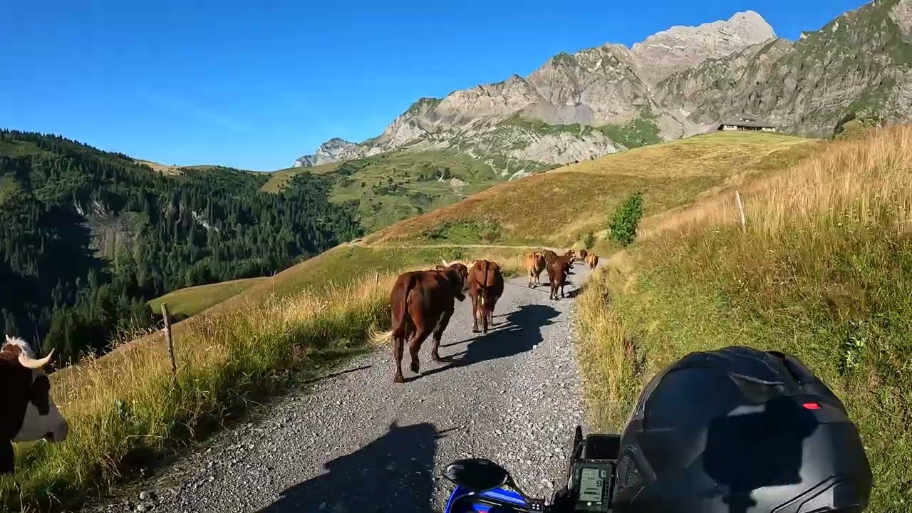La Route de la Soif (07/2023)