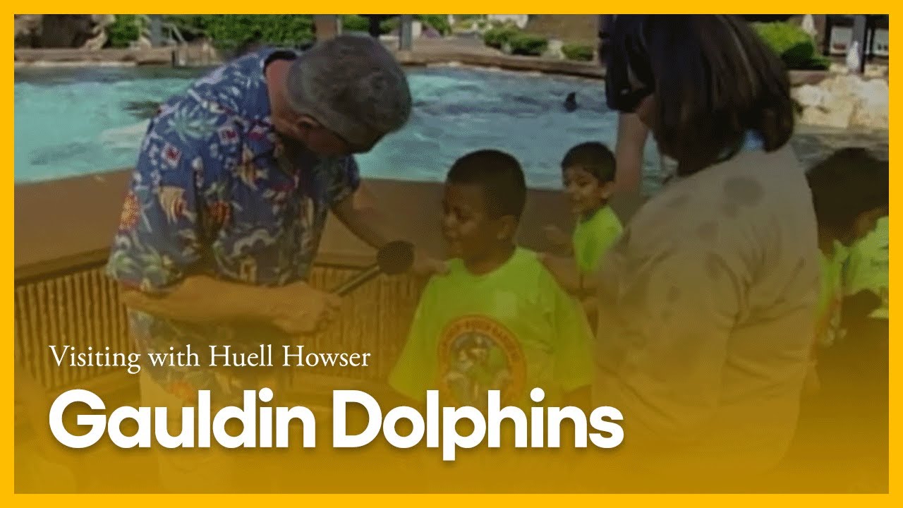 Gauldin Dolphins | Visiting with Huell Howser | PBS SoCal