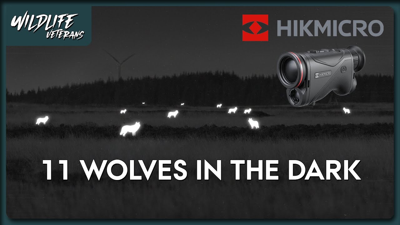 11 Wolves in the dark - HIKMICRO