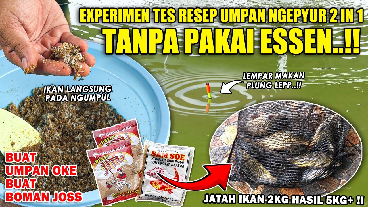 100% TANPA PAKAI ESSEN !! RESEP AMPUH UMPAN PELET JITU TERBARU !! SIKAT HABIS SEMUA JATAH IKAN ❗❗