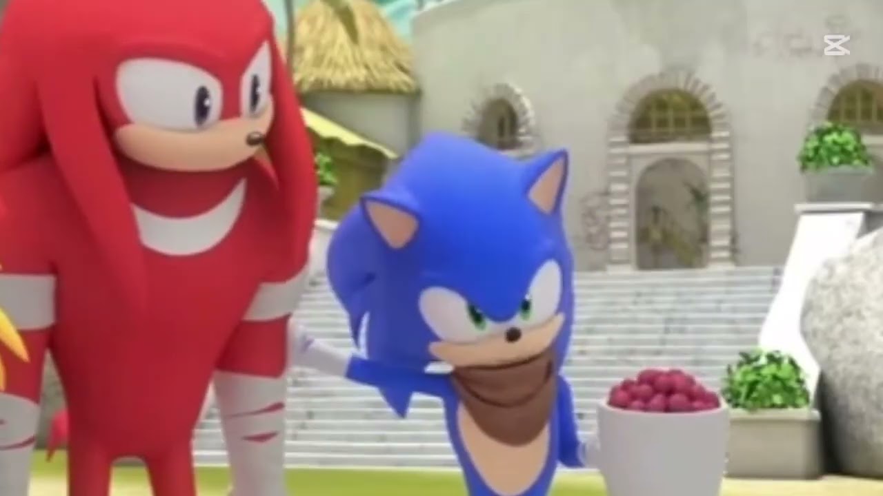 Sarah and boom sonic’s life of love live in true love 