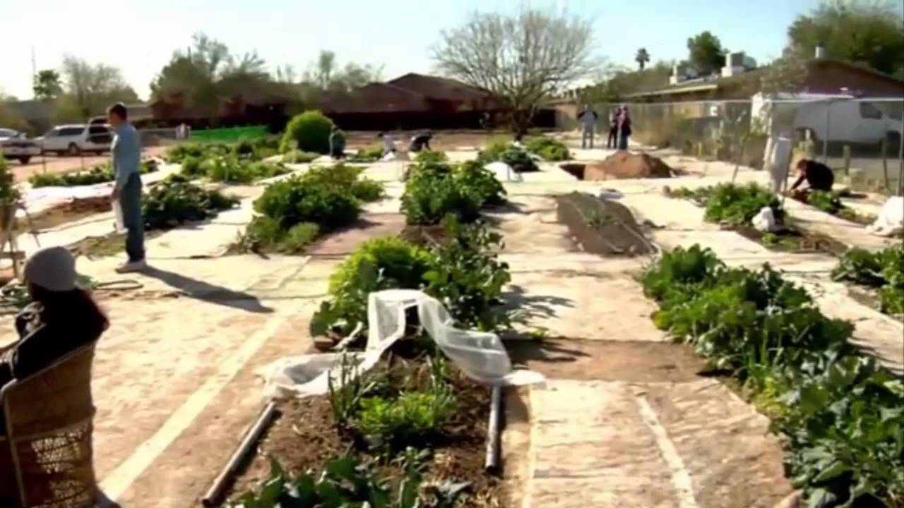 Locavore: Local Diet, Healthy Planet