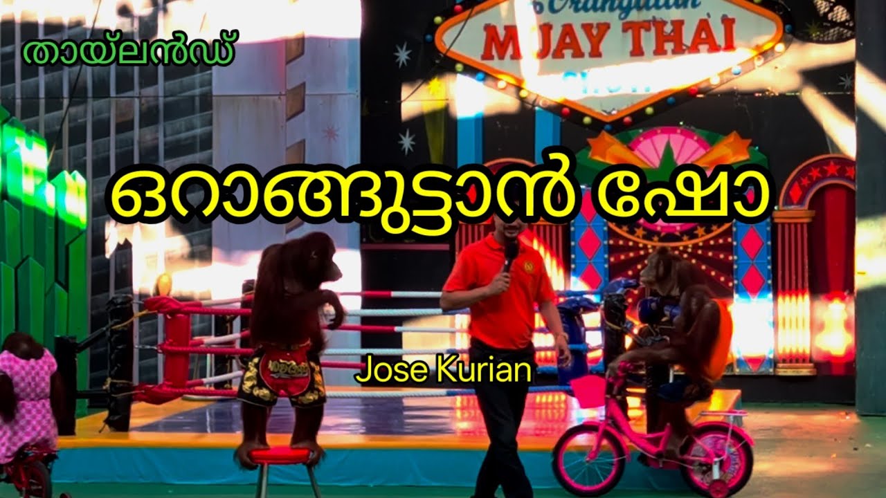 ഒറാങ്ങുട്ടാൻ ഷോ / Jose Kurian / Orangutan Show / Thailand