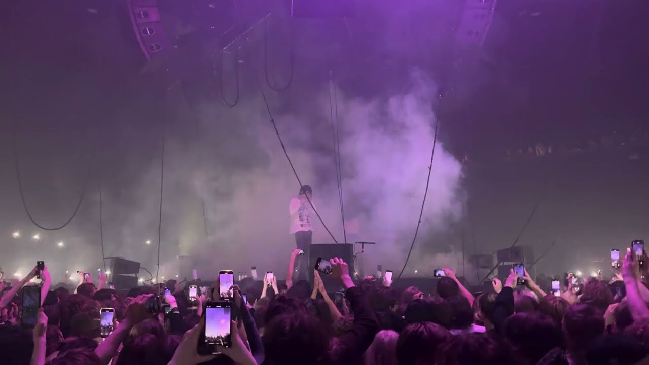 9mice - Anora. Live. Москва. VK Stadium
