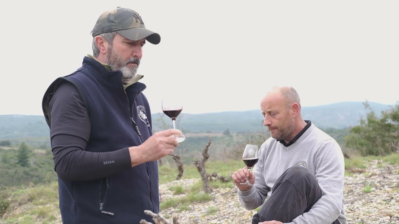 Fitou Vignes Centenaires, Les Vignerons du Mont Tauch