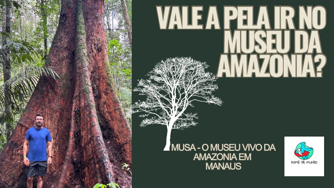 Museu da Amazônia - MUSA. O que ver lá?